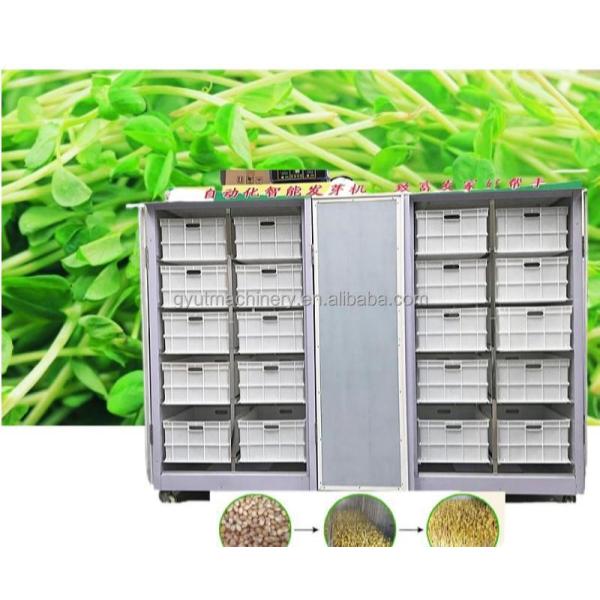 Cuarto de máquinas de germinados de cebada para el sistema de forraje hidropónico 4600 * 1400 * 1700mm 2024