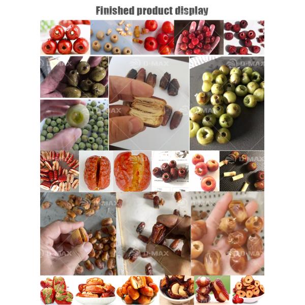 2023 Olive Pitter Machine Ideal for Processing Various Seeds and Fruits