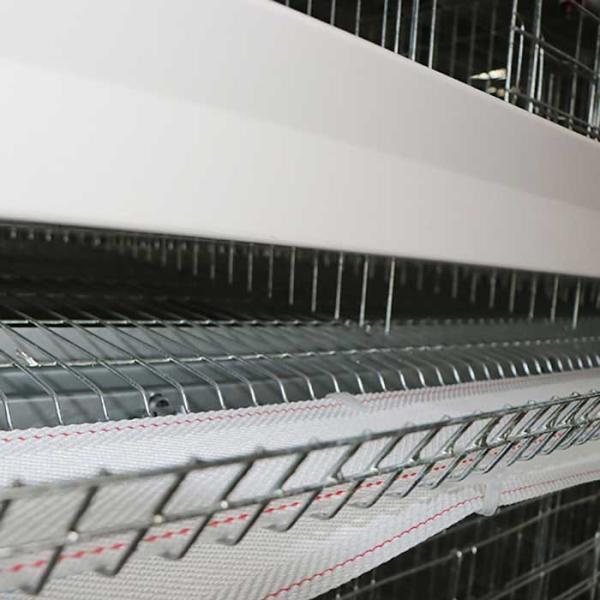 3 / 4 / 5 Tiers Layer Chicken Cage 190 * 35 * 38cm / 195 * 45 * 41cm Size