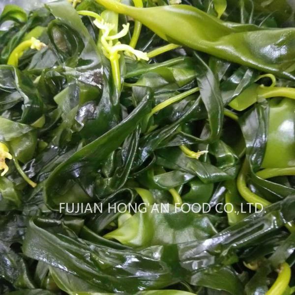 Riche en vitamines de la mer Organique Comestibles Franges de varech Umami Légumes de mer Pour les salades ou les frites