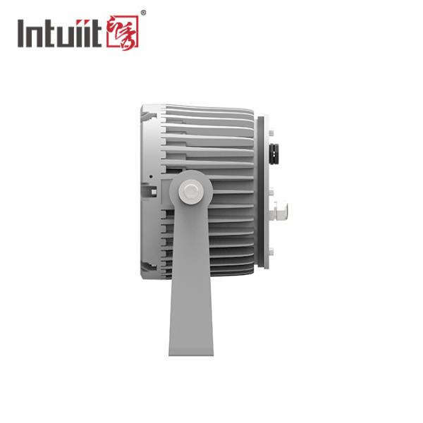 Фары ландшафта СИД украшения 24В рождества на открытом воздухе