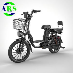 Customized 48v 1000w Electric Bike OEM ODM Electric Cargo Bike Yilan 2