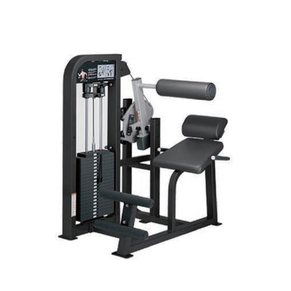 Titanium Strength Gym Equipments Back Extension Machine U+H2010 Easy Move