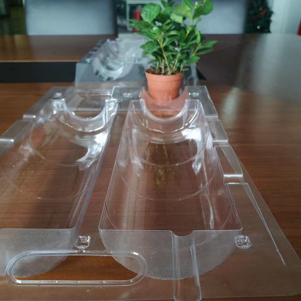 ODM Clear PET Foldable Plant Protector Clamshell Nursery Pot Transport Guard with Handle