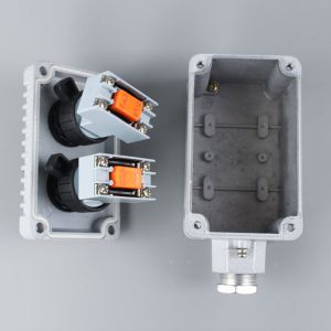 LA53 Series Explosion-proof Button Rotary Switch/Knob for Oil Gas and Chemical Industry 