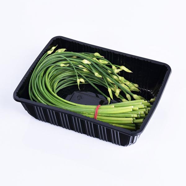 PP Microwave Safe 20*14*5.5cm Disposable Vegetable Trays