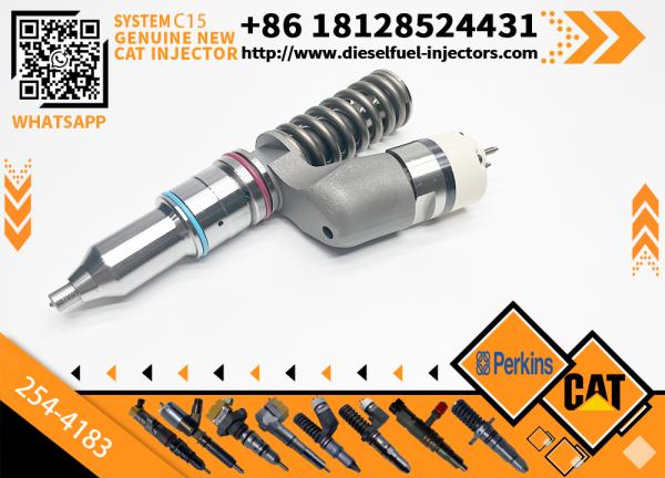 254-4183 294-3500 Injecteur de carburant pour le rail commun Pour moteur Caterpillar C15 C18 2544183 2943500 Ensemble d'injecteurs diesel
