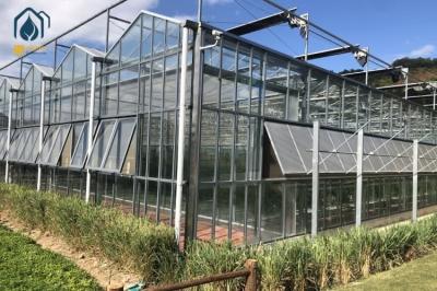 Transparent Hydroponic Glass Greenhouse For Year Round Organic Vegetables