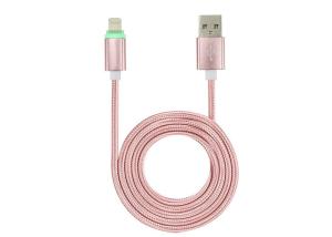 Pp bavardent gainer tressé par coton expansible d'or/couleur d'argent pour des c