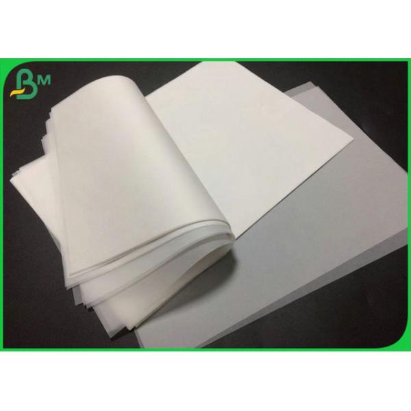 дружественный к Эко размер 50gr прозрачный следуя бумажный A4 к офсетной печати дружественный к Эко размер 50gr прозрачный следуя бумажный A4 к офсетной печати