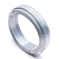 Fer galvanisé plongé chaud galvanisé par 4mm du fil 100kg de BWG 25