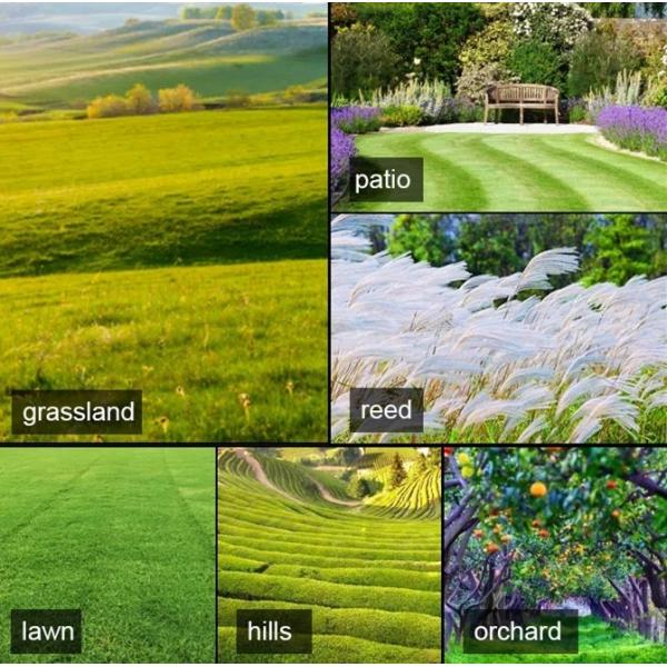 Weed Remover Agricultural Lawn Mower TUV Walk Behind Mower 550mm