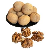 Fábrica Varejo por grosso 10 kg/saco de nozes 185/33/xin2/xingfu brutas produtos mais vendidos da Amazon