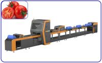 Acero inoxidable inteligente del tomate del canal automático óptico del clasificador 1