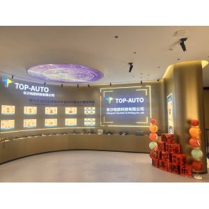 Changsha Top-Auto Technology Co., Ltd
