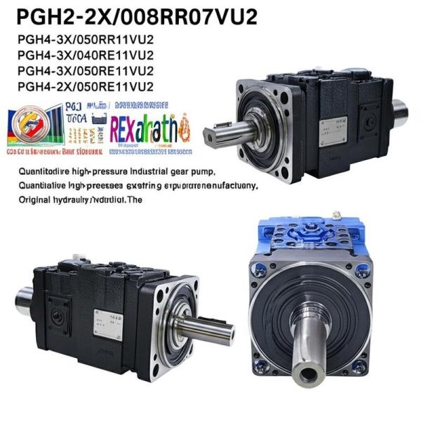 Rexroth ISO9001 Certified High Pressure Hydraulic Gear Pump with Horizontal Pump Shaft