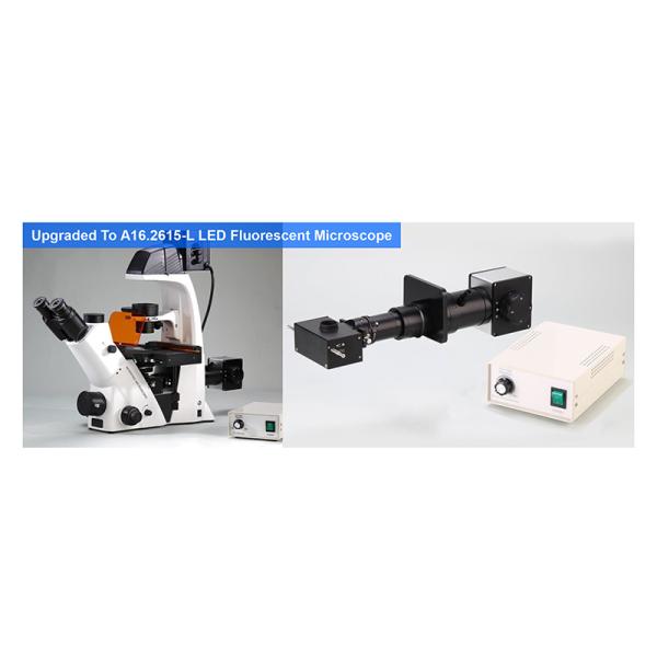 OPTO-EDU Trinocular перевернуло освещение биологического микроскопа WF10X PlA14.2605 Kohler