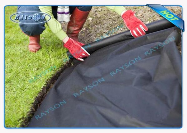 Polypropylène noir de tissu de lutte contre les mauvaises herbes de jardin de Biogradable non tissé