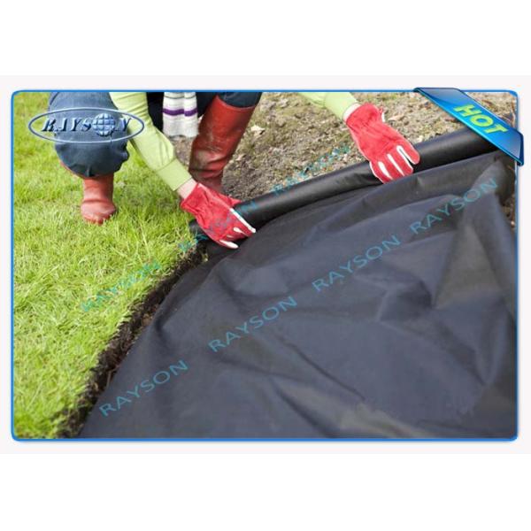 Biodegradable крышки земледелия PP точки Seasame не сплетенное не сплетенное