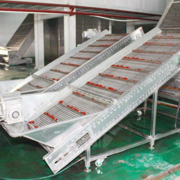 Dehydration Automatic Mesh Belt Drying Machine 400kg/ H 1.1kw Color Retention