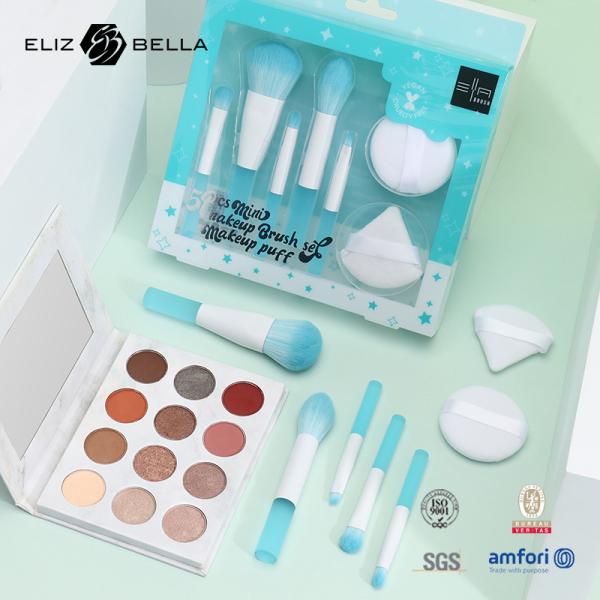 5pcs maquiagem de viagem pincel conjunto com maquiagem Puff caixa de embalagem PVC transparente