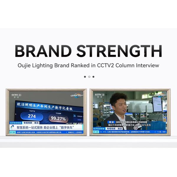 Lampes de travail pour machines-outils à LED personnalisées, flexibles et antidéflagrantes