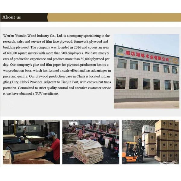 Flat And Smooth Poplar Core Plywood , Film Face Ply Board 1.0mm-2.1cm Thickness