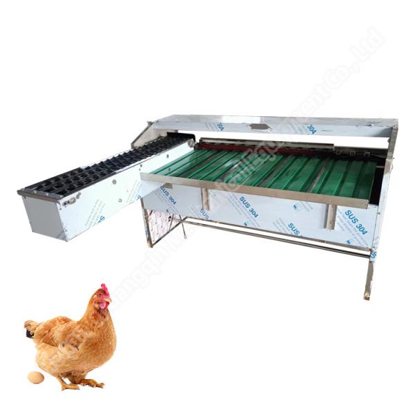 Egg Weight Grade Chicken Egg Sorting Machine 4000pcs/H Egg Grader 304 Stainless Steel