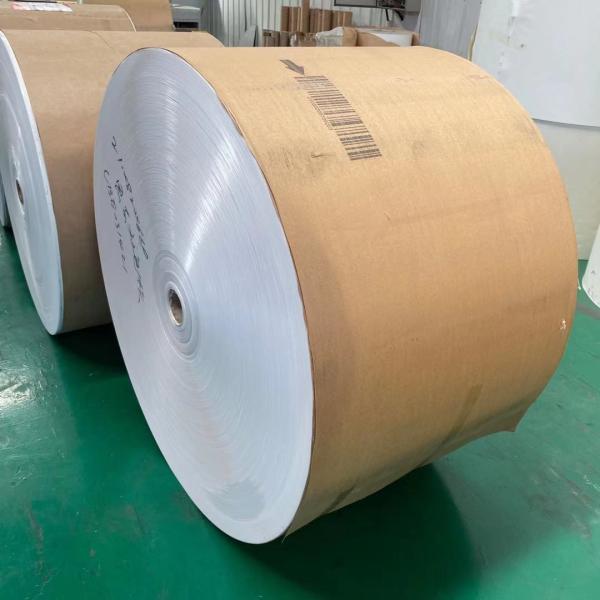 Wooden Pulp 170gsm Food Grade Double PE Coated Paper Roll For Hot Beverage