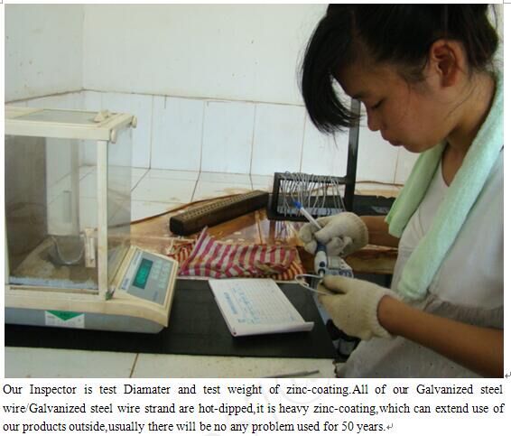 Холодный - нарисованная гальванизированная кабельная проводка с уменьшением веса конструкции