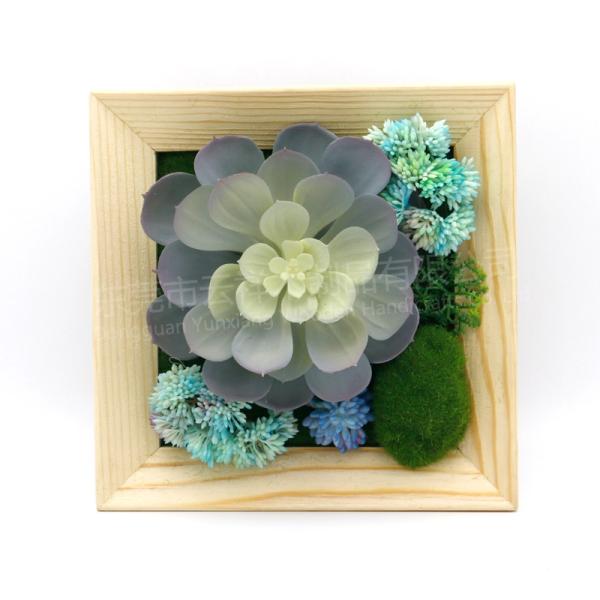 Wooden frame for holding photo picture  plant