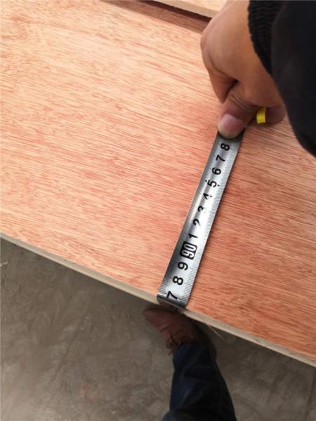 Poplar Wood Anti Cracking E1 Glue Bintangor Plywood