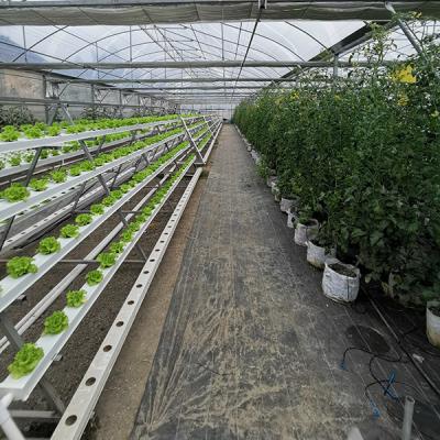 Système aquaponique complet automatisé pour la production de poissons et de laitue toute l'année