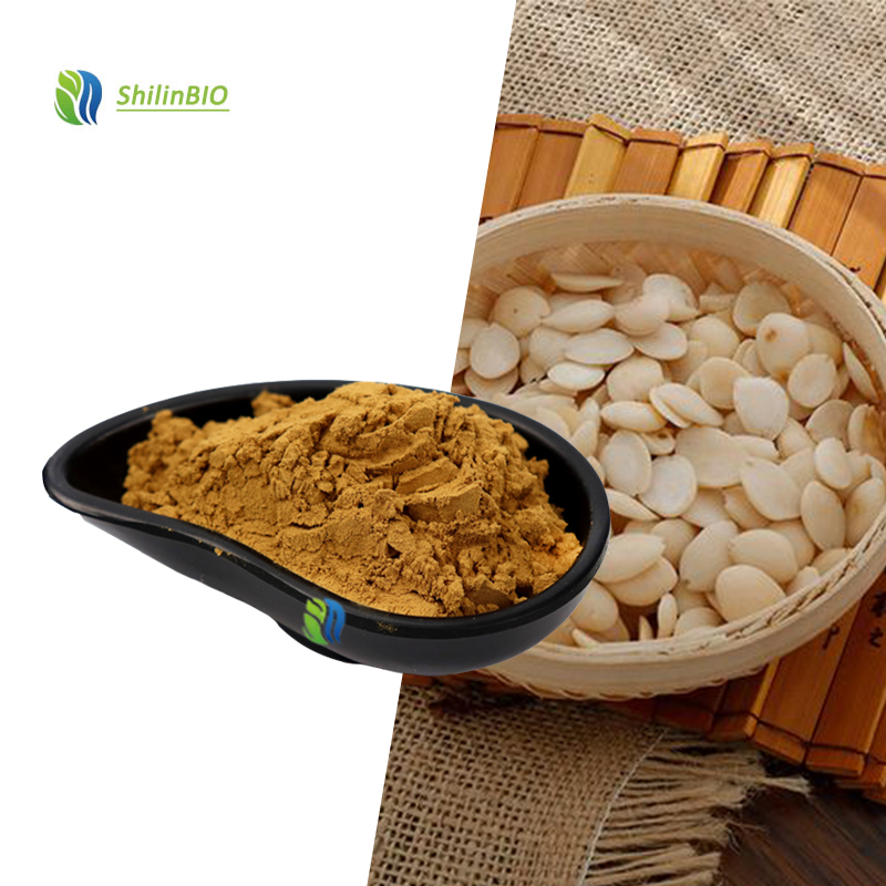 SLBIO Supply Food Grade 10:1 20:1 30:1 Semen Persicae Extract Water Soluble Peach Kernel Extract Powder