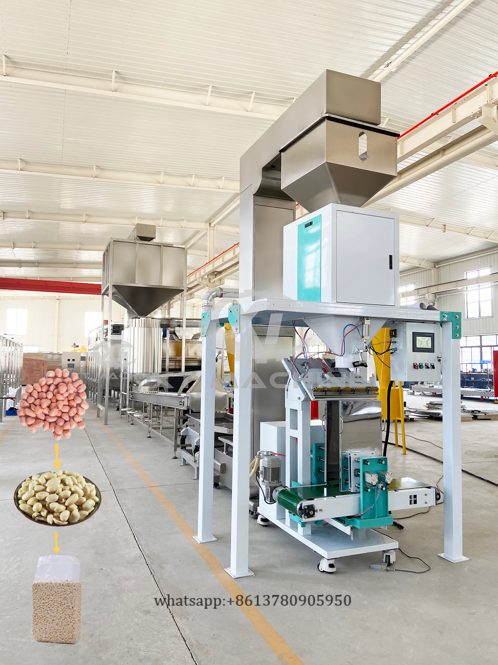 Automatic Peanut Blanching Machine with 500-2000kg/h Capacity 90% Blanching Ratio and Vacuum Packaging