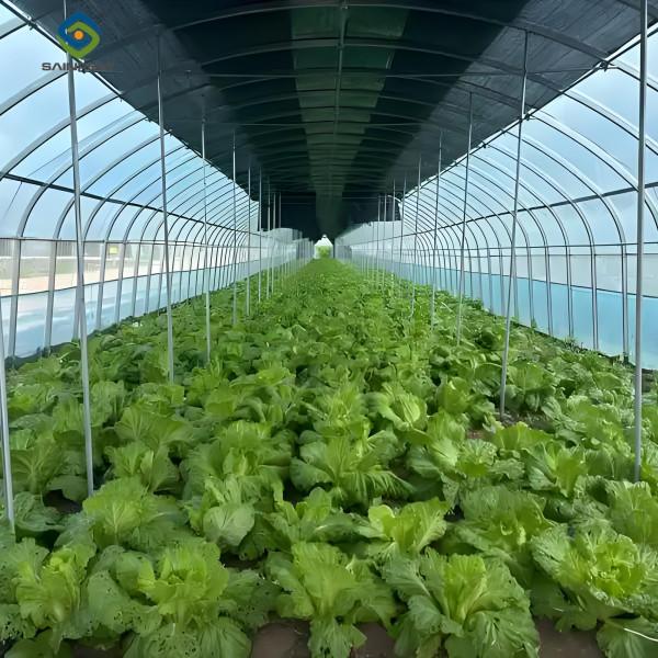 PVC Gutter Soilless Culture Hydroponic Lettuce Greenhouse Anti Corrosion