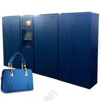Cacifo de armazenamento alugado da praia esperta da bagagem do pagamento com cartão de crédito de Digitas do Gym com pagamento com cartão de crédito