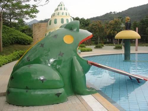 A corrediça de água da rã caçoa o equipamento do campo de jogos da água para a piscina