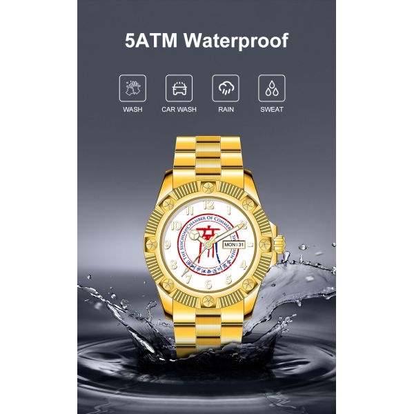 Waterproof Men's Mechanical Watch With Sapphire Crystal