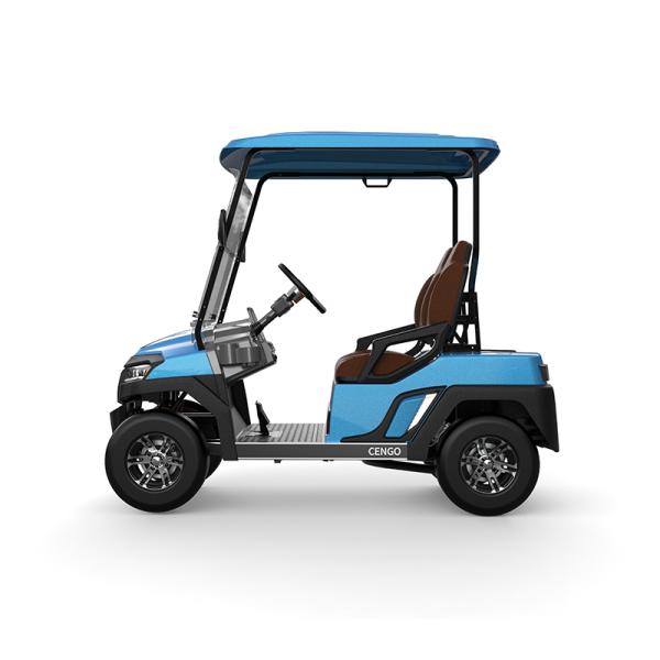 Affordable 2 Seat Electric Golf Buggy Perfect for Family and Hunting on the Beach