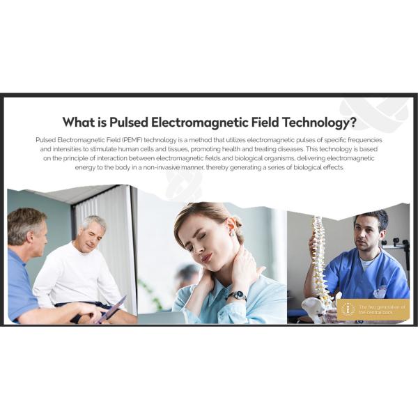 Factory Direct Portable Physio Massage Machine Personal Vibrating Therapy Equipment