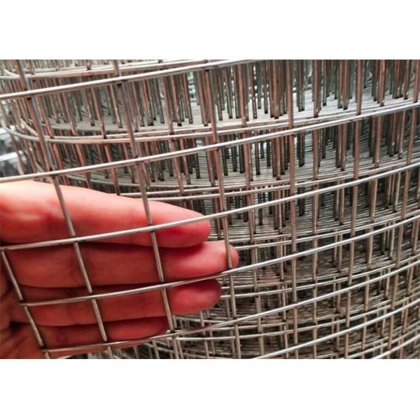 2 In X 4 In Welded Wire Mesh Rolls 60 In X 100 Ft Galvanised