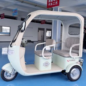6-Seater Electric E Tricycle with Weather Resistant Canopy and 800W Motor for