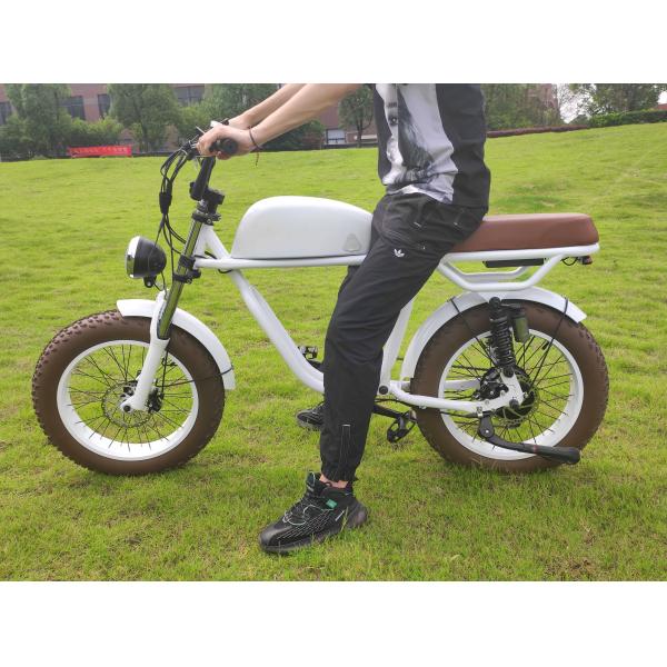 Rear Hub Motor Electric Bike for Fat Tire Chopper E Bike OEM Electric Motorcycles 350W