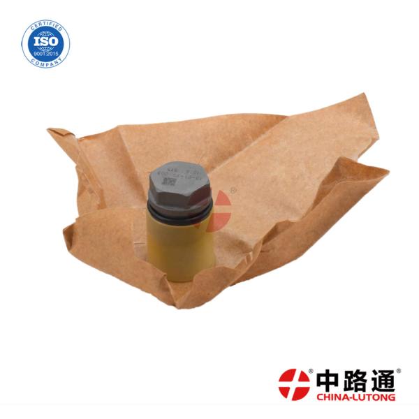 Common Rail Pressure Limiting Valve 1 110 010 018 Automatic Fuel Pressure Limiting Relief Valve