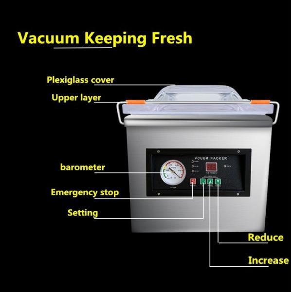DZ260 Vacuum Sealing Machine for Fresh Meat Fish Vegetable Food 370W Motor Power 27 KG