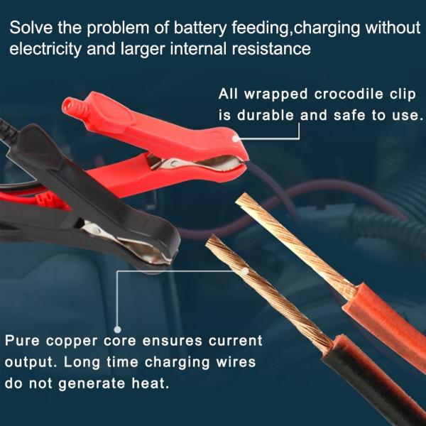 Smart Deep Cycle 12V Automatic Lead Acid Battery Charger Pulse Repair