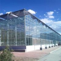 Crescimento de vegetal hidropônico solar tropical da flor da multi estufa de vidro do período
