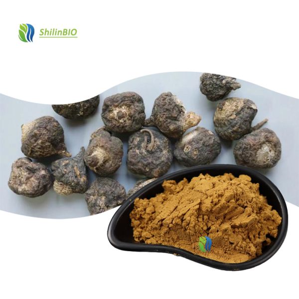 High Quality Maca Extract 10:1 Maca Root Powder Food Grade