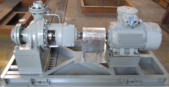 55 kW High Pressure Pump Customized Petrochemical Process Pump Complete Aromatics Complex Plant